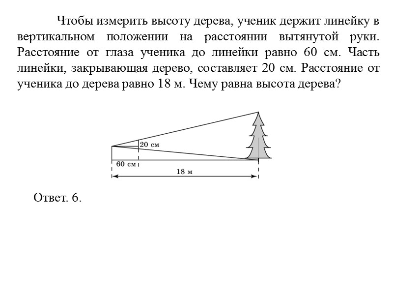 Чтобы измерить высоту дерева, ученик держит линейку в вертикальном положении на расстоянии вытянутой руки.
